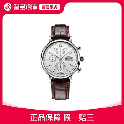 IWC万国 柏涛菲诺系列 自动机械表中性42mm IW391027