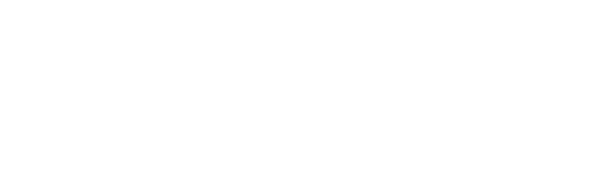 零跑