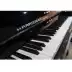 Harold HARROSDER nhập khẩu đàn piano dọc bắt đầu thử nghiệm C-1 chơi piano 121 cao - dương cầm dương cầm