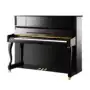 Bưu chính tiền gửi đàn piano của Graf - dương cầm roland rd 800