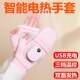 Winter motorcycle electric heating gloves usb charging heating gloves cycling warm smart electric heating gloves for men and women