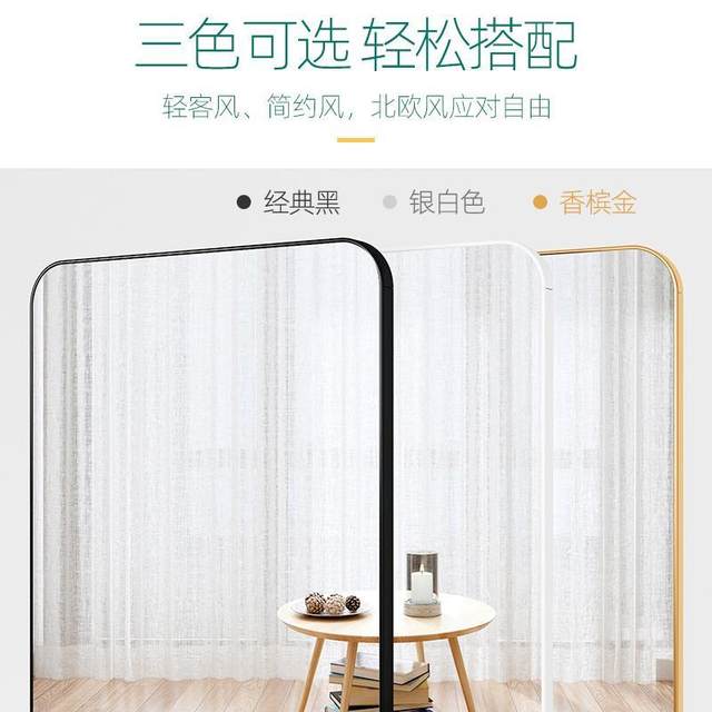 Light Luxury and High-End Full-Length Floor Mirror for Home Use, Bedroom Wall-Mounted Dressing Mirror, Trendy Dressing Room Fitting Mirror