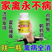 Chicken duck goose pigeon cold and diarrhea medicine old brand poultry first aid tablet live chicken medicine complete list of special effect anti-inflammatory and asthma tablets