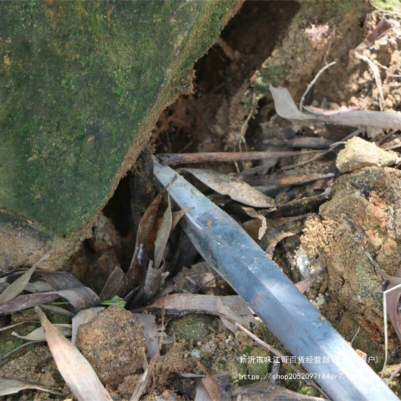 Рукав силиконовые ручки zui弹簧钢锹树铲挖洞铲直移植锹工钢铲挖坑铁锹园艺林具手工花铲