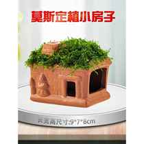 Fish and shrimp avoid the house fish tank landscaping crystal shrimp hole Moss water plant aquarium fish hatching clay pot planting
