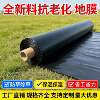 Special black mulch film for growing vegetables, thickened insulation vegetable garden weeding agricultural film, farmland covering fruit trees and vegetables plastic film