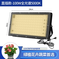 Прямая заглушка -в [100 Вт естественного света 5000K] Пластин