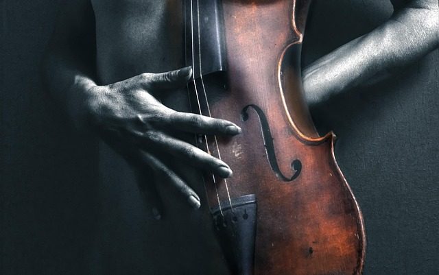 a string violin