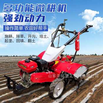 Hand-held 161 micro-tillage small-scale rotary tillage agricultural ditch opening grass oil diesel optional machine multi-functional pastoral management