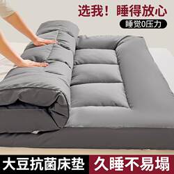 Mattress Pad Thickened Type a Tatami Single/Double Mattress for Home Use Student Dormitory Mat Floor Mat