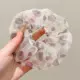 2# Полька -тота Большой кишечный круг