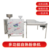 Tiancheng brand steam self-cooked sweet potato vermicelli machine automatic conveying vermicelli machine screw noodles machine