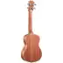 Andrew ANDREW ukulele 23 inch uklele Đàn guitar nhỏ 26 inch cho người mới bắt đầu chơi nhạc cụ uku - Nhạc cụ phương Tây