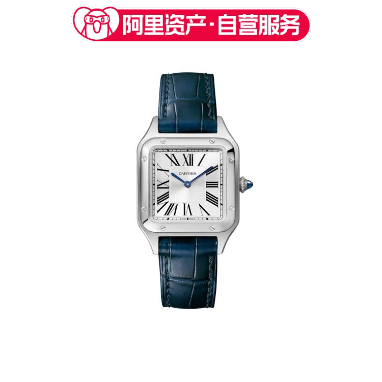 Cartier Santos Series Quartz Movement Unisex 29Mm-35Mm Wssa0023 Cartier Santos Series Quartz Movement Unisex 29Mm-35Mm Wssa0023