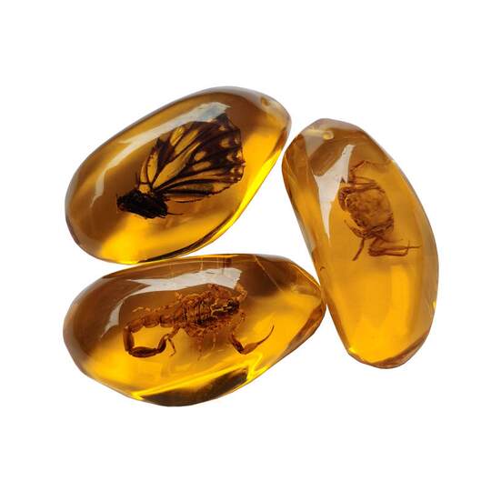 Imitation Amber Insect Specimen Pendant Making Blind Box Resin Glue Children's Textbook Teaching Science Props Ornaments for Students