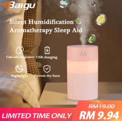 Baigu Mini Air Humidifier 260ML