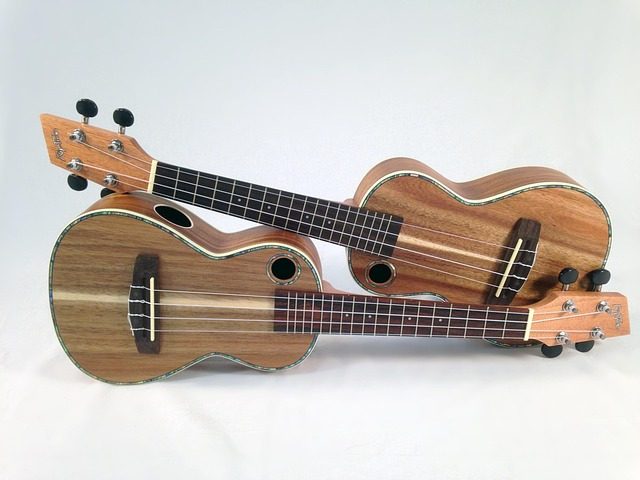 how did the ukulele became popular