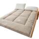 Cross-Border Yarn-Dyed Feather Velvet Mattress, Thickened Mattress Pad, Home Soft Cushion, Dormitory Foldable Single/Double Mattress, Class a