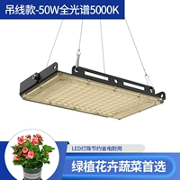 Висящие линии [50 Вт естественного света 5000K]