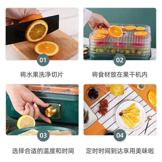 德国精工干果机家用食物烘干机水果蔬菜宠物肉类零食品风干机小型