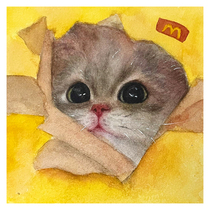 Signature payment free picture frame 咒咛cake McDonalds Delivery Cat Sauce limited edition hanging painting