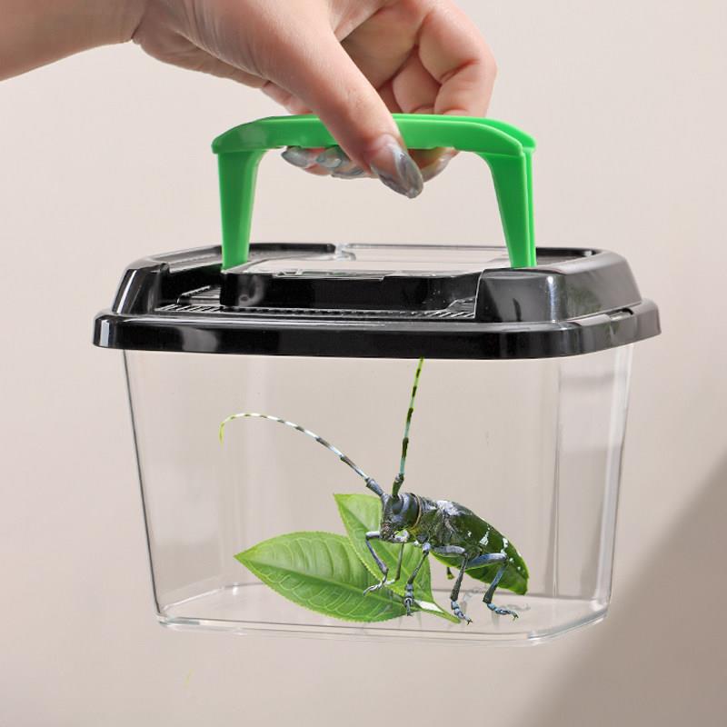Japanese Silkworm Breeding Box, Japanese Imported Portable Pet Collection Box, Breathable Container for Beetles, Unicolored Stag Beetles, and Fish Japanese Silkworm Breeding Box, Japanese Imported Portable Pet Collection Box, Breathable Container for Beetles, Unicolored Stag Beetles, and Fish
