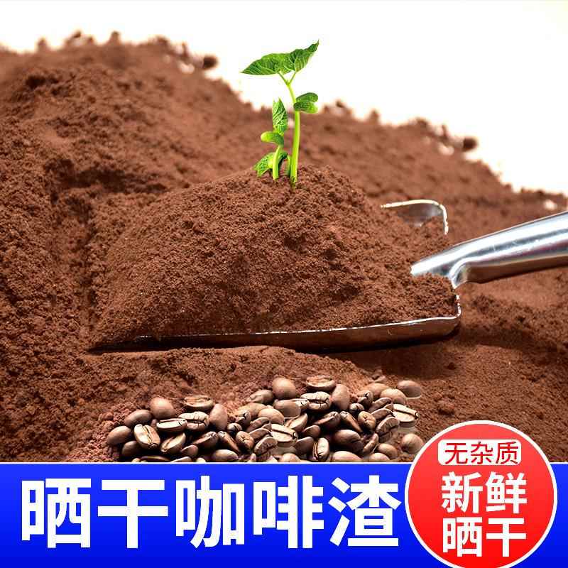 Coffee Grounds Deodorizer, New House Formaldehyde Remover, Odor Eliminator, Ashtray Smoke Extinguisher, Deodorizing Activated Carbon Pack, Scrub Paste, Dry Grounds