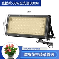 Прямая заглушка -в [50 Вт естественного света 5000K]