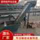 Stainless steel chain plate elevator Grain grain rice hopper elevator Stainless steel hopper lifting feeding machine