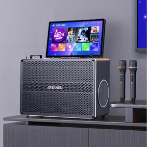 山水（SANSUI）C7家庭ktv音响套装卡拉ok一体机户外音响