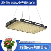 Модель висящей линии [100 Вт естественного света 5000K]