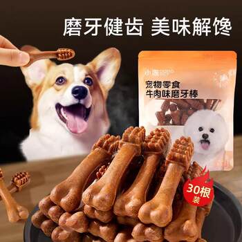 Dog teething puppy teddy puppy snack jar