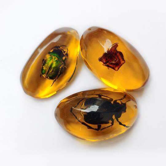 Imitation Amber Insect Specimen Pendant Making Blind Box Resin Glue Children's Textbook Teaching Science Props Ornaments for Students