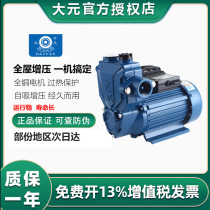 Dayuan self-priming pump household pipeline tap water booster pump hot and cold water small water pump 220v water pump WZB