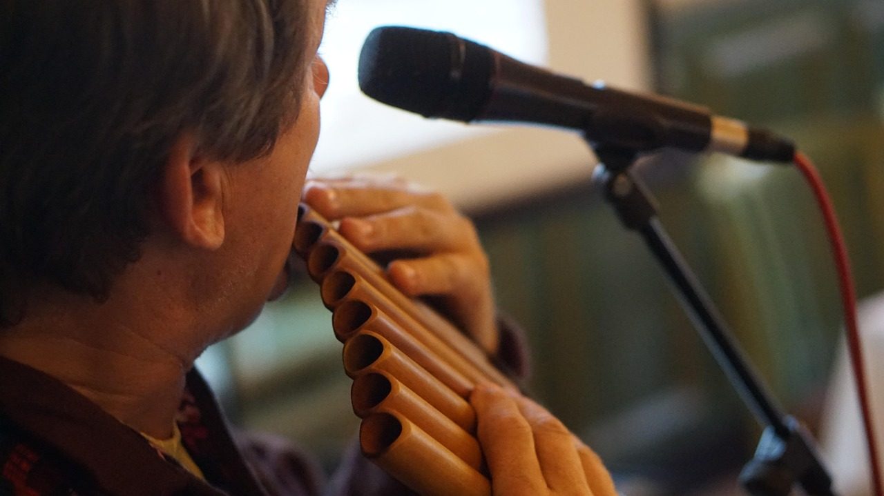 who wrote the magic flute