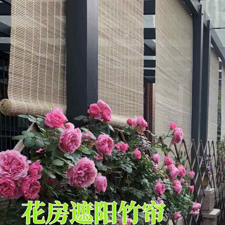 室外陽臺溫室頂部防曬遮陽竹簾玻璃房竹編晾曬東西的竹簾子圍擋