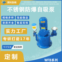 Brand vertical 304 automatic control unsealed sewage hydropower plant stainless steel explosion-proof self-priming pump 50WFB-A
