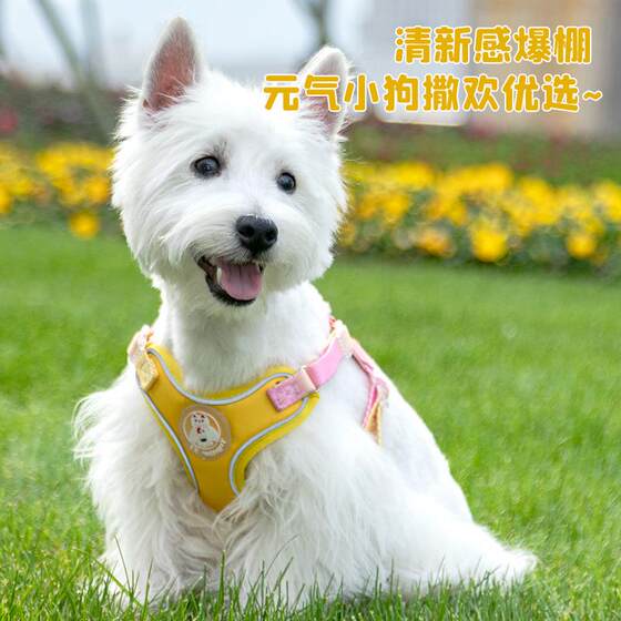 Durable Dog Collar Leash, Anti-Bite, Anti-Pull, Anti-Escape Collar, New Pet Dog Collar