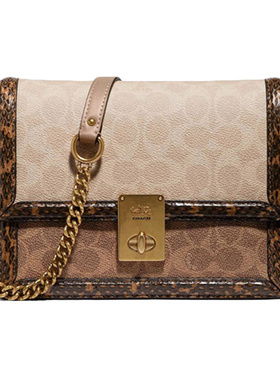 COACH蔻驰 Hutton 21 皮革拼涂层帆布 单肩斜挎包 小号女款 棕色