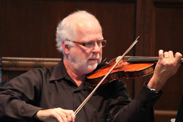 how much does a violin cost