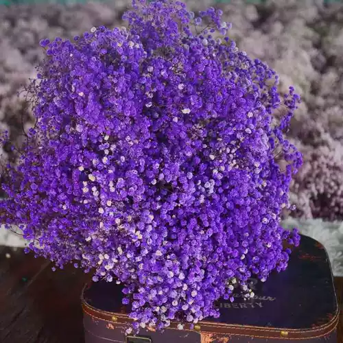 Сушеная гипсофила, сухоцветы, букеты из сухоцветов, большие букеты, прямые продажи с фабрики, бессмертные цветы, материал своими руками, настоящие цветы, украшения, предметы интерьера