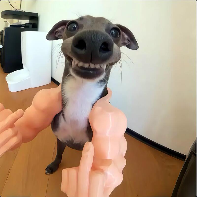 Dog界's Ultimate Tough Guy! 3D Printed Pet Muscle Arm Accessories, Tough Guy Style Pet Funny Cosplay Photo Props Dog界's Ultimate Tough Guy! 3D Printed Pet Muscle Arm Accessories, Tough Guy Style Pet Funny Cosplay Photo Props