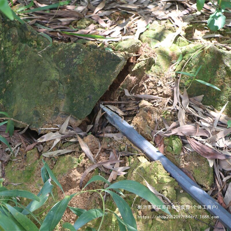 Рукав силиконовые ручки zui弹簧钢锹树铲挖洞铲直移植锹工钢铲挖坑铁锹园艺林具手工花铲