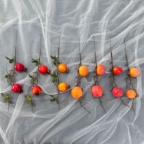 Cross new version 2 fruit pomegranate persimmon new realm festival IY persimmon year pomegranate blessing D tube insert new version 2 fruit flower accessories home