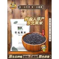 New black rice official flagship store multigrain rice authentic black fragrant rice purple rice grains and coarse grains native to Northeast China 5 pounds