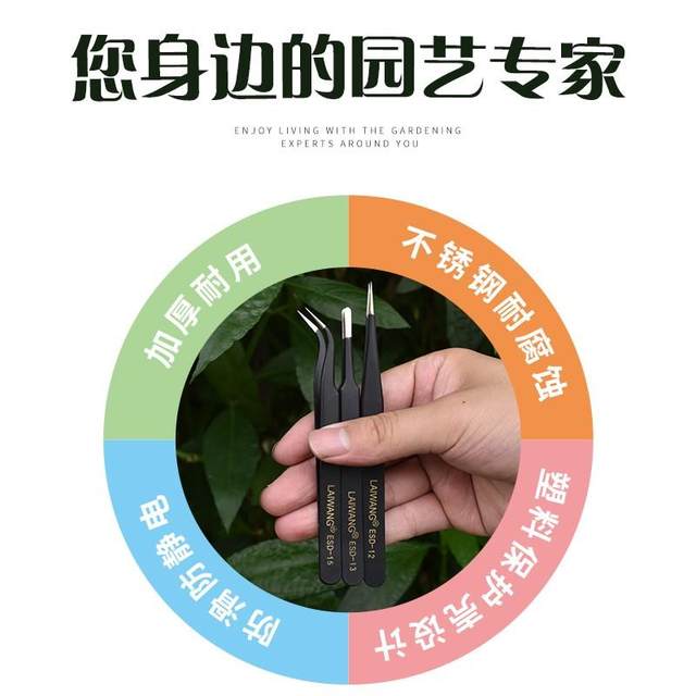Succulent Tweezers Gardening Thickeneded Curved Round Head Stainless Steel Clip Flower Planting Tool Special Clip for Plant Flower Cultivation