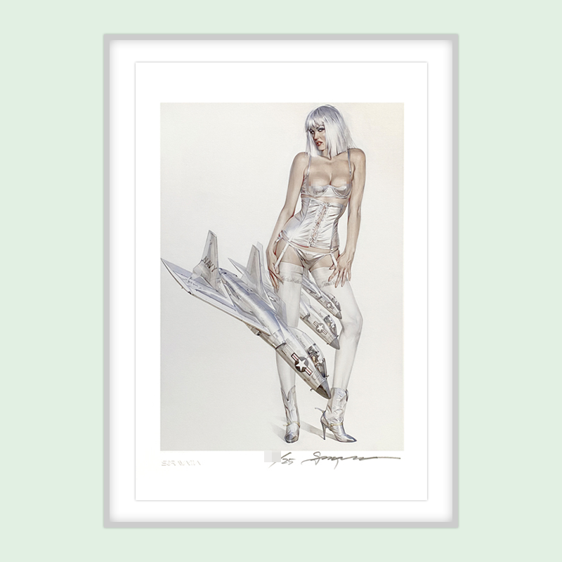 Trend Art Air Mountain Key < Secret Service Sauter > Limited Edition Painting Fidelity edition with certificate spot