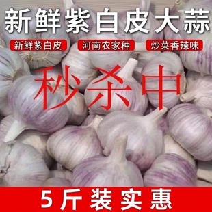 包邮 大蒜头5斤河南农家干蒜紫白皮大蒜种子250g起 大蒜 新干蒜