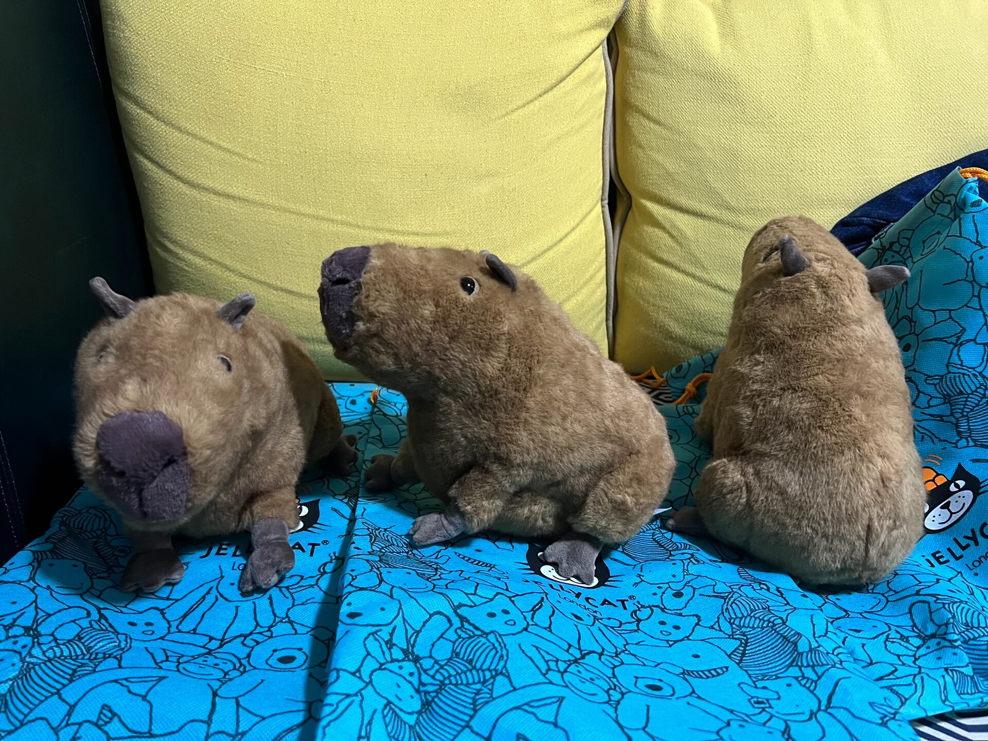 jellycat水豚卡皮巴拉10月新款【现货】-Taobao