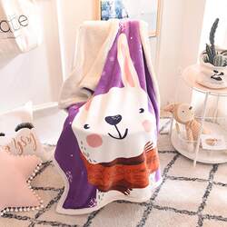 Thickened Wool Blanket for Winter, Cartoon Double-Layer Fleece Lamb Wool Air Conditioning Blanket, Sofa Blanket, Baby Animal Blanket